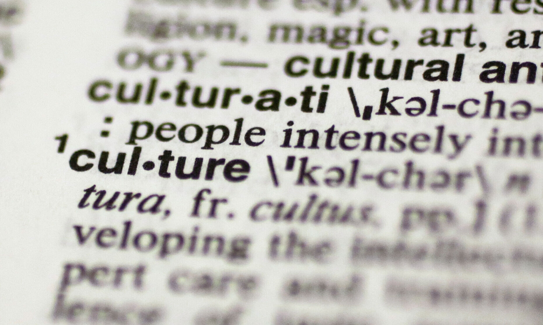 2014: culture